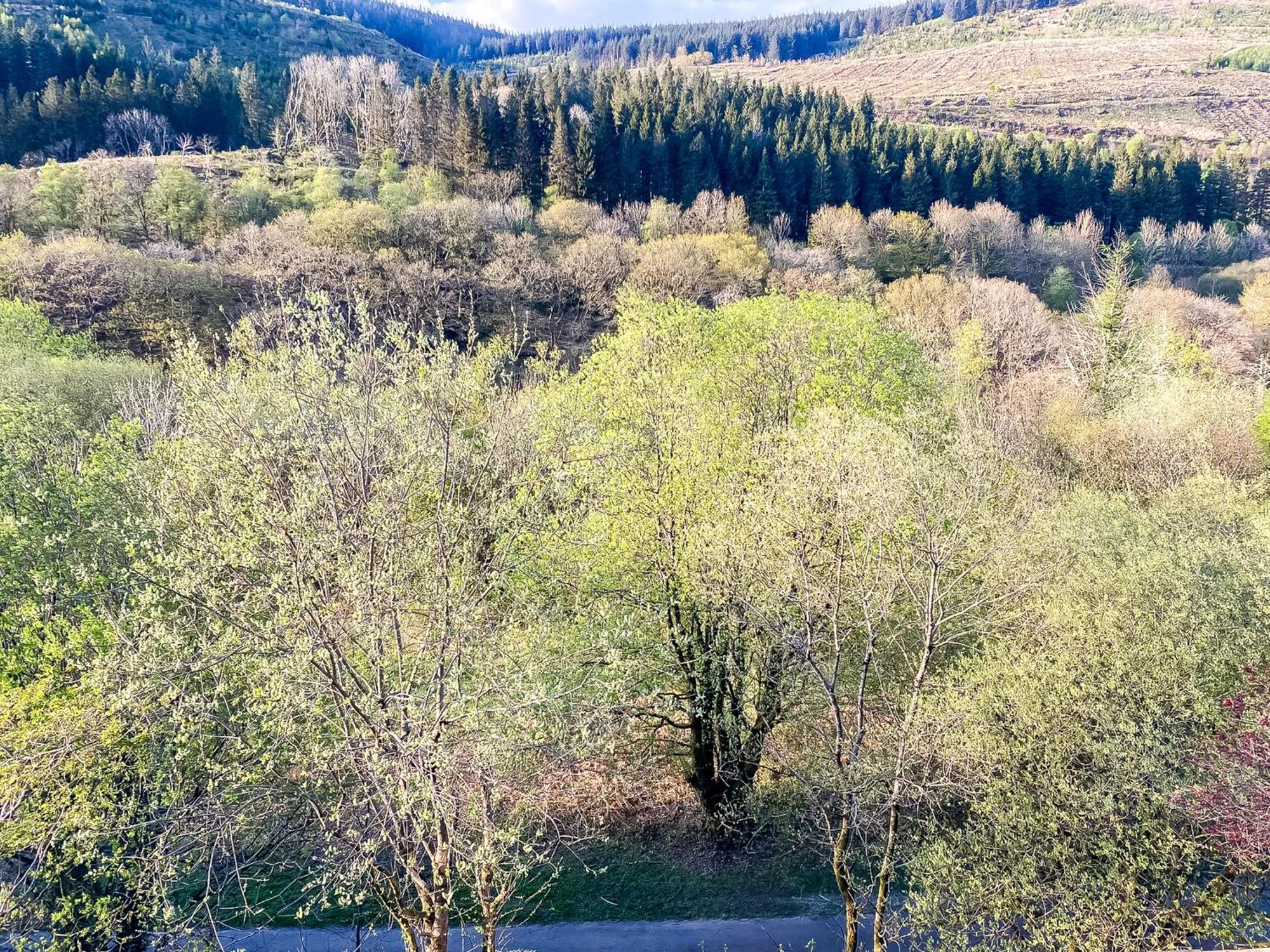 The Nest Superb Apartment In Afan Forest Bike Park By Staystaycations Port Talbot Kültér fotó